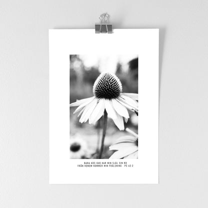 Photography Psalm 62:1 Fine Art Print